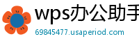 wps办公助手删除权限设置在哪里找到